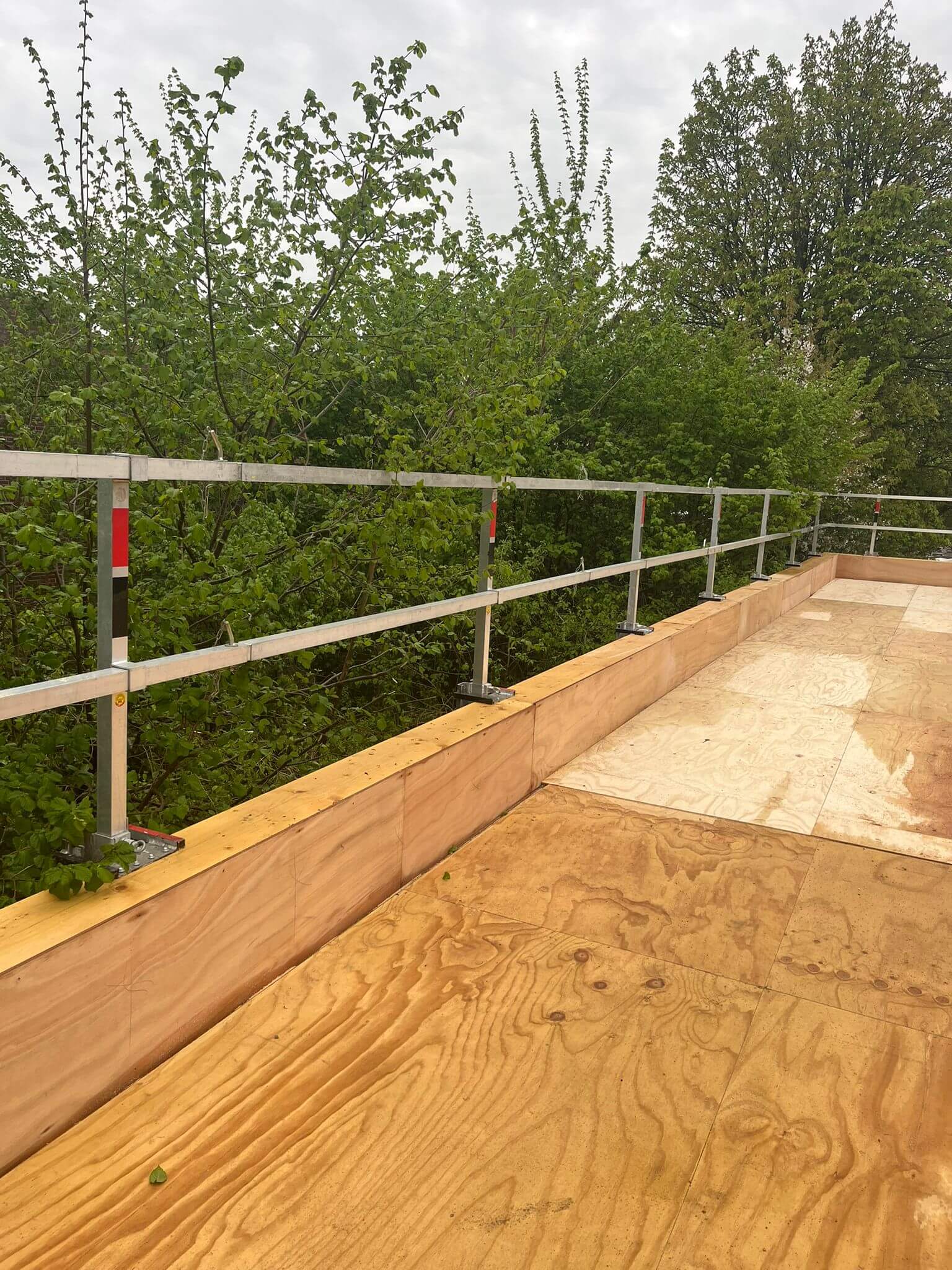 WhatsApp Image 2025-12-03 at 14.21.50