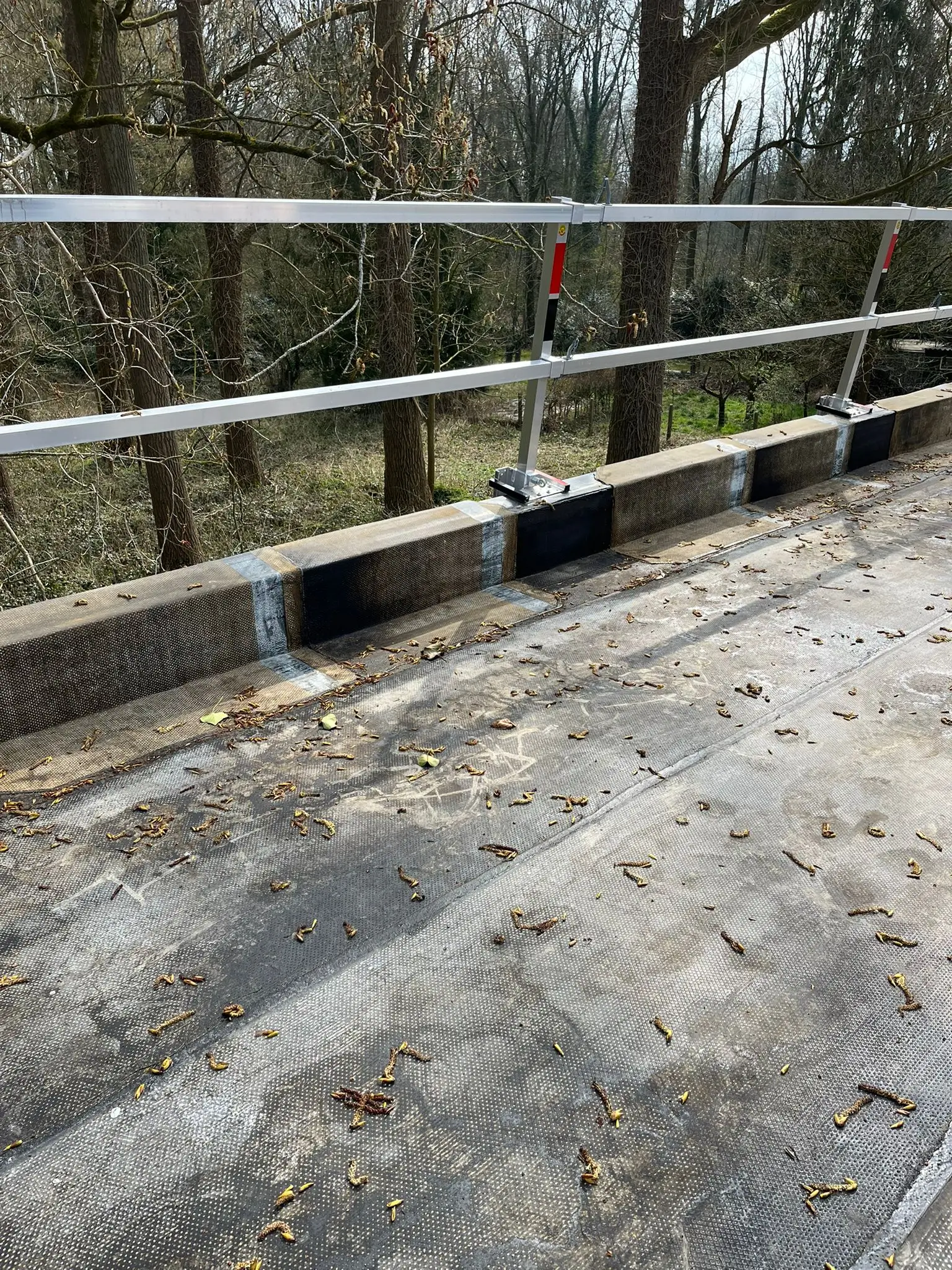 WhatsApp Image 2025-12-03 at 14.25.23 (1)